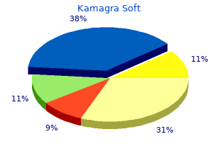 order kamagra soft 100 mg with mastercard