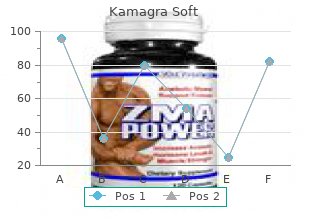 buy kamagra soft 100 mg with visa