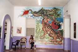 The dragon and the tiger, a popular symbol for the martial arts
