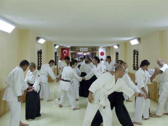 Ankara dojo practice scene.