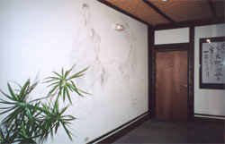 The Entrance Hallway With White Walls nd a Plant